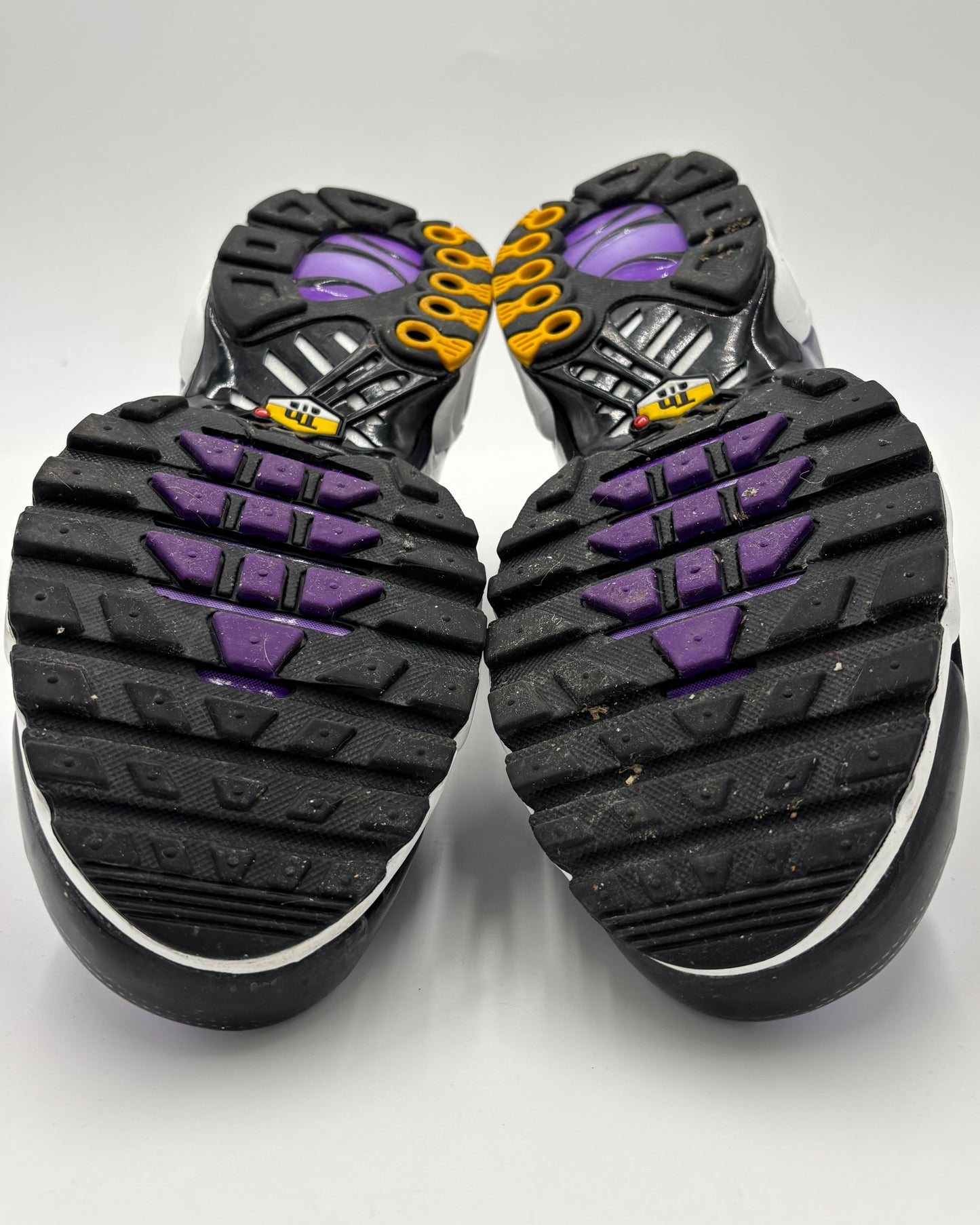 Nike Air Max Plus TN Voltage Purple (44)