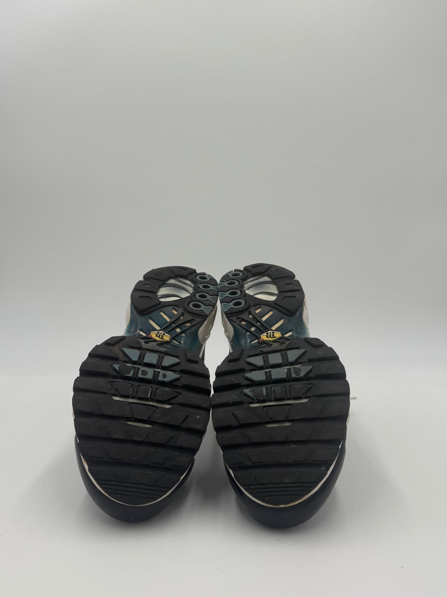 Air Max Plus TN Palm Blue (42,5)