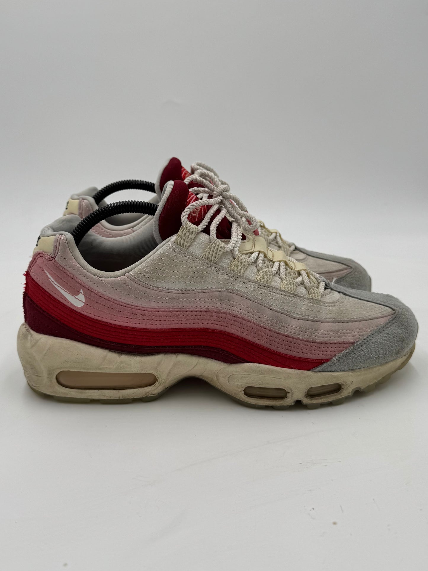 Nike Air Max 95 Anatomy of Air (43 EU / 8.5 UK)