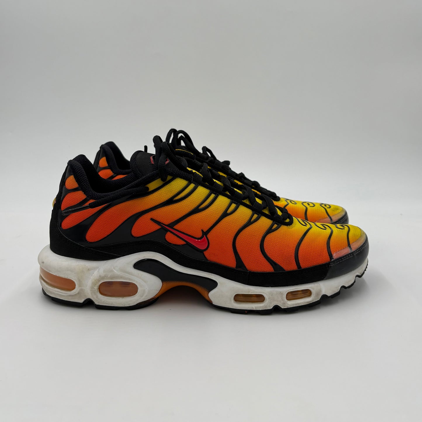 Air Max Plus TN Tiger 2024 (43)