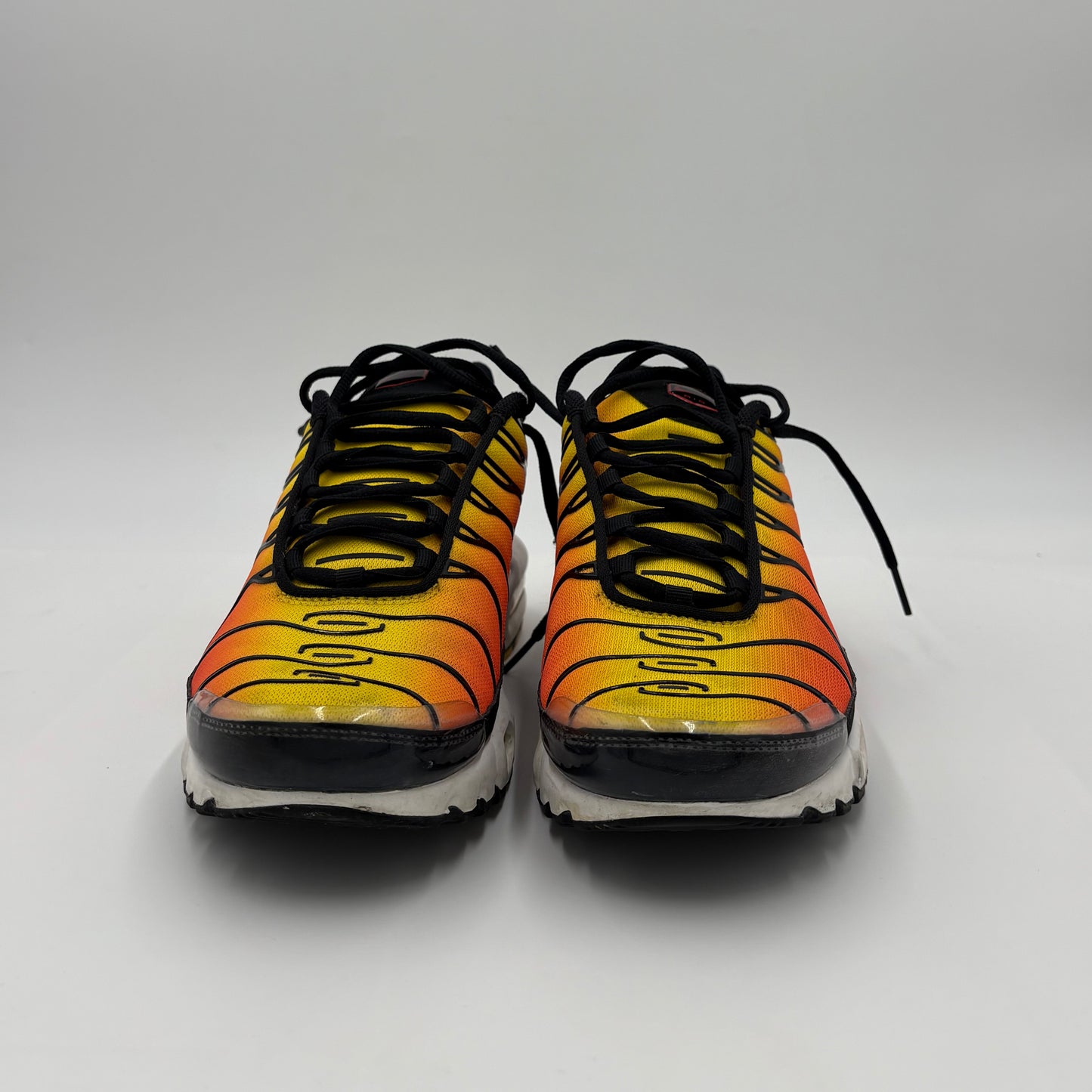 Air Max Plus TN Tiger 2024 (43)