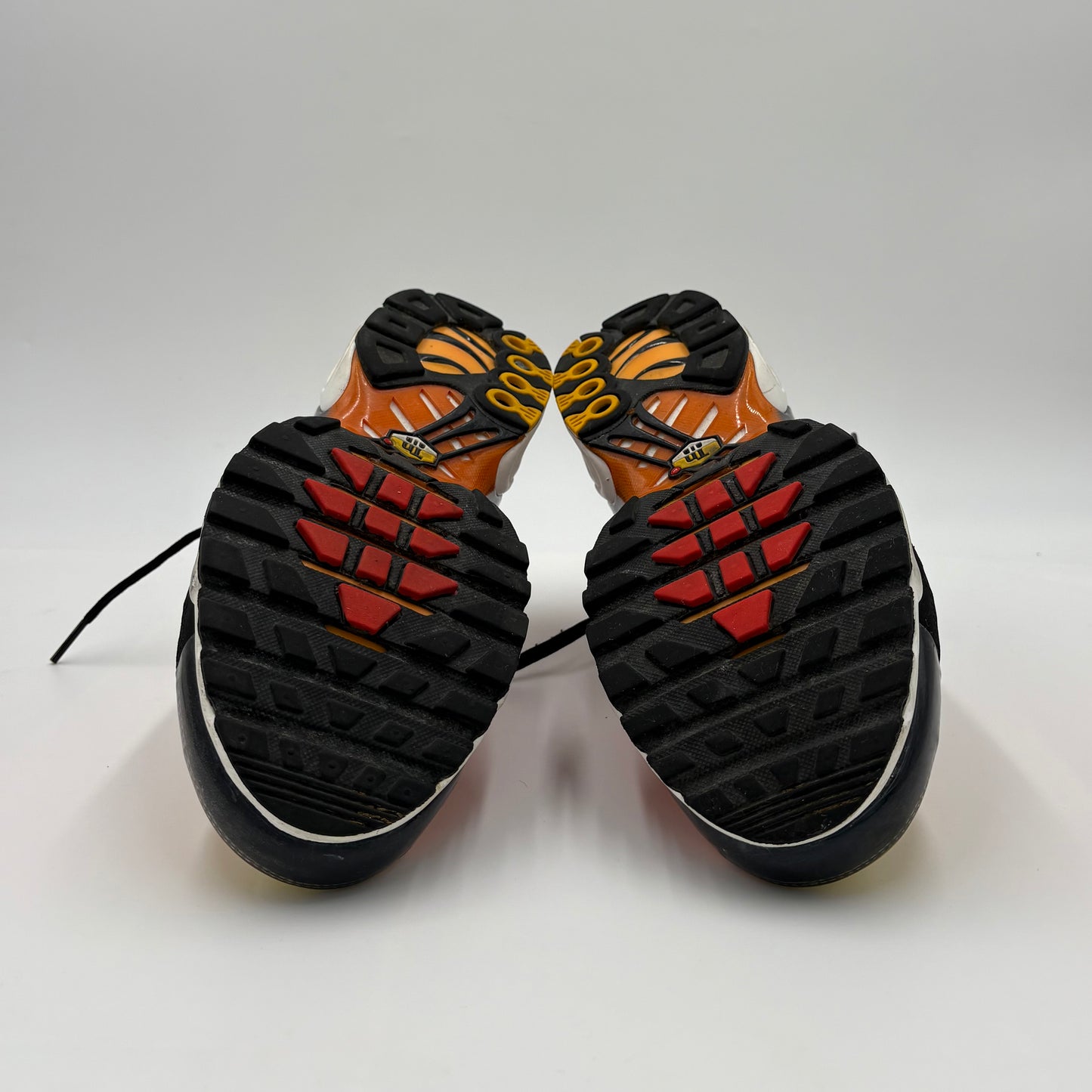 Air Max Plus TN Tiger 2024 (43)