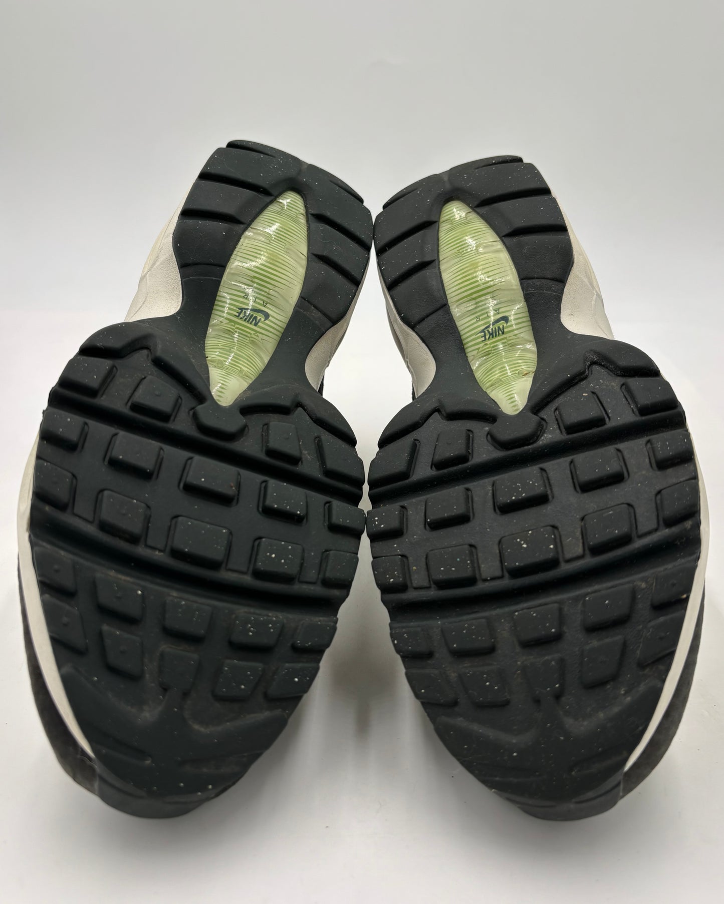 Nike Air Max 95 Earth Day (42,5 EU / 8 UK)