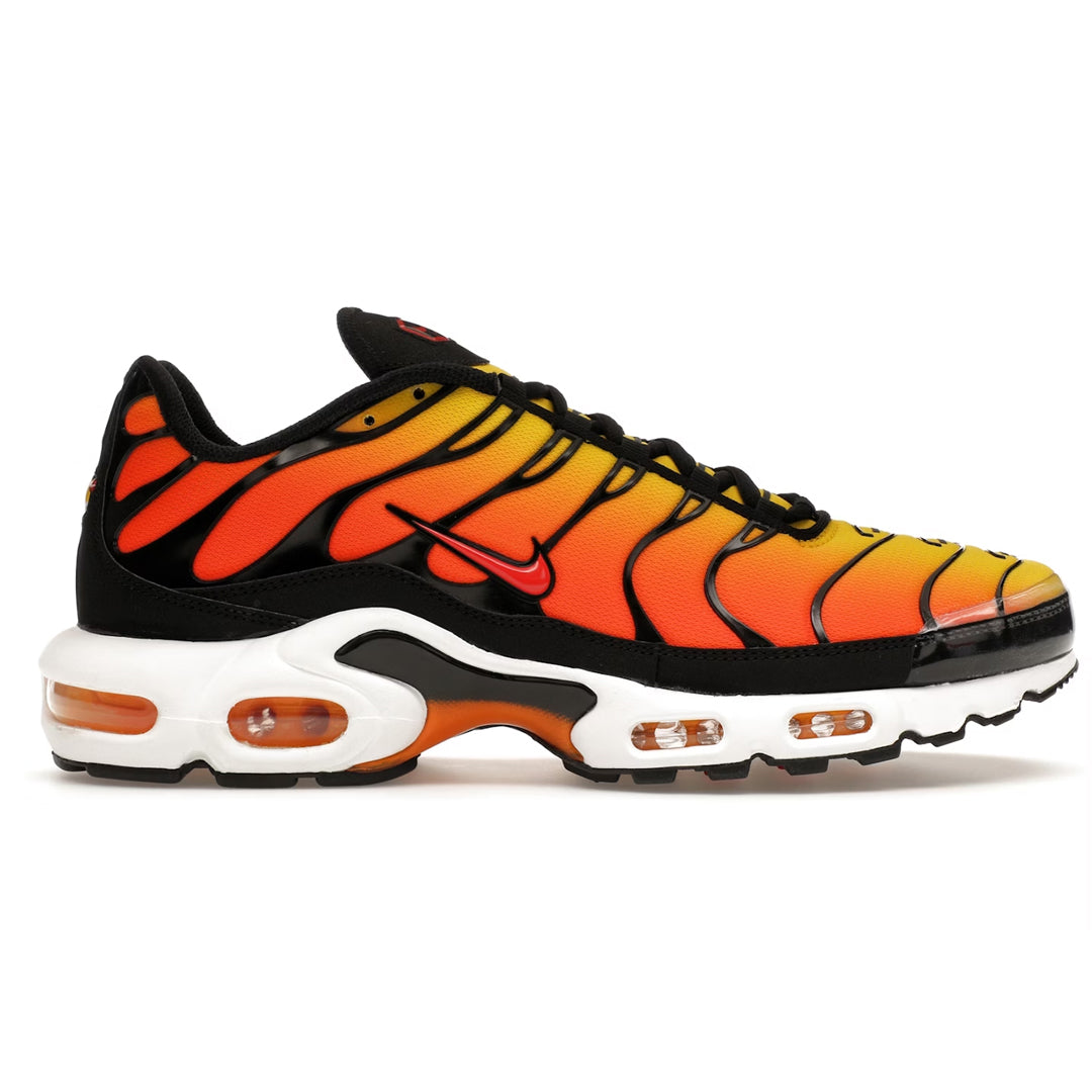 Air Max Plus TN Tiger 2024 (43)