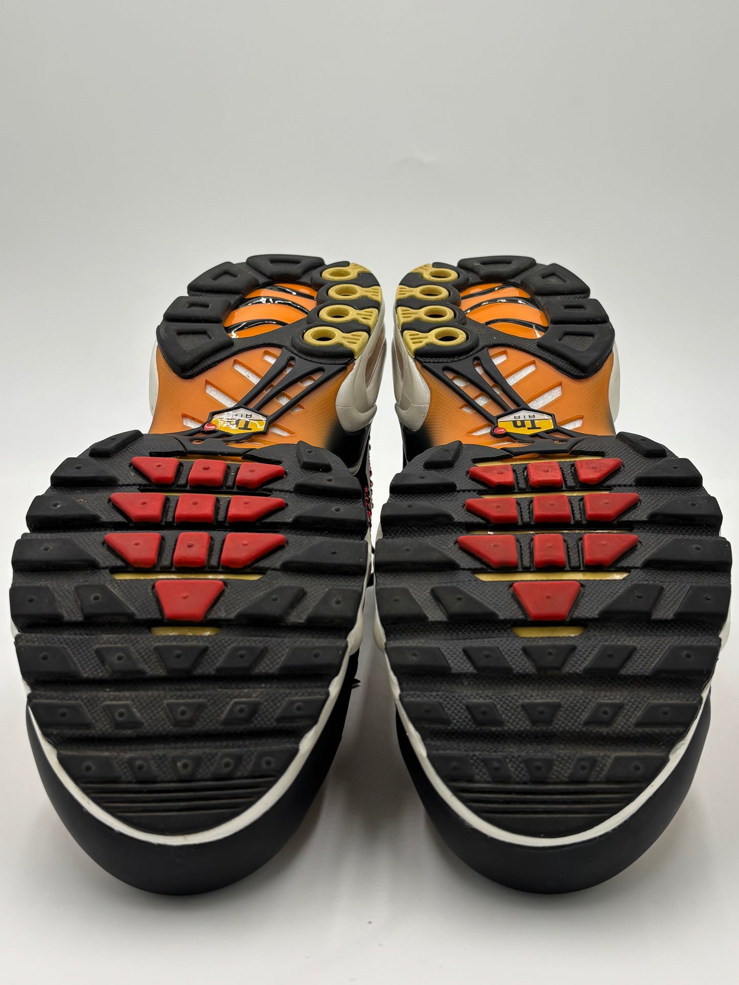 Air Max Plus TN Swarovski Sunset (42)