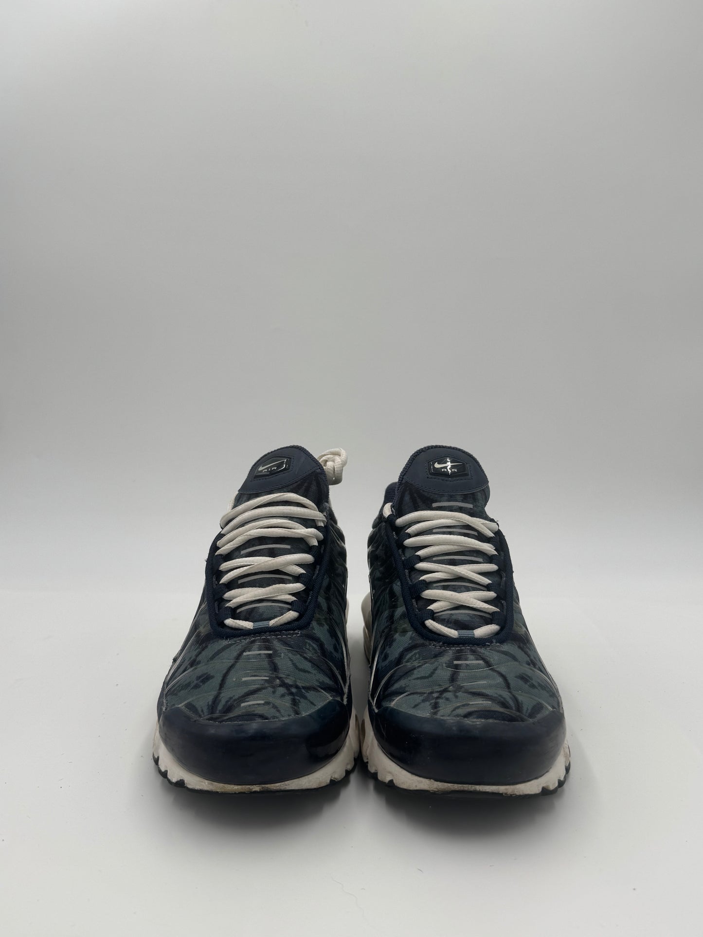 Air Max Plus TN Palm Blue (42,5)