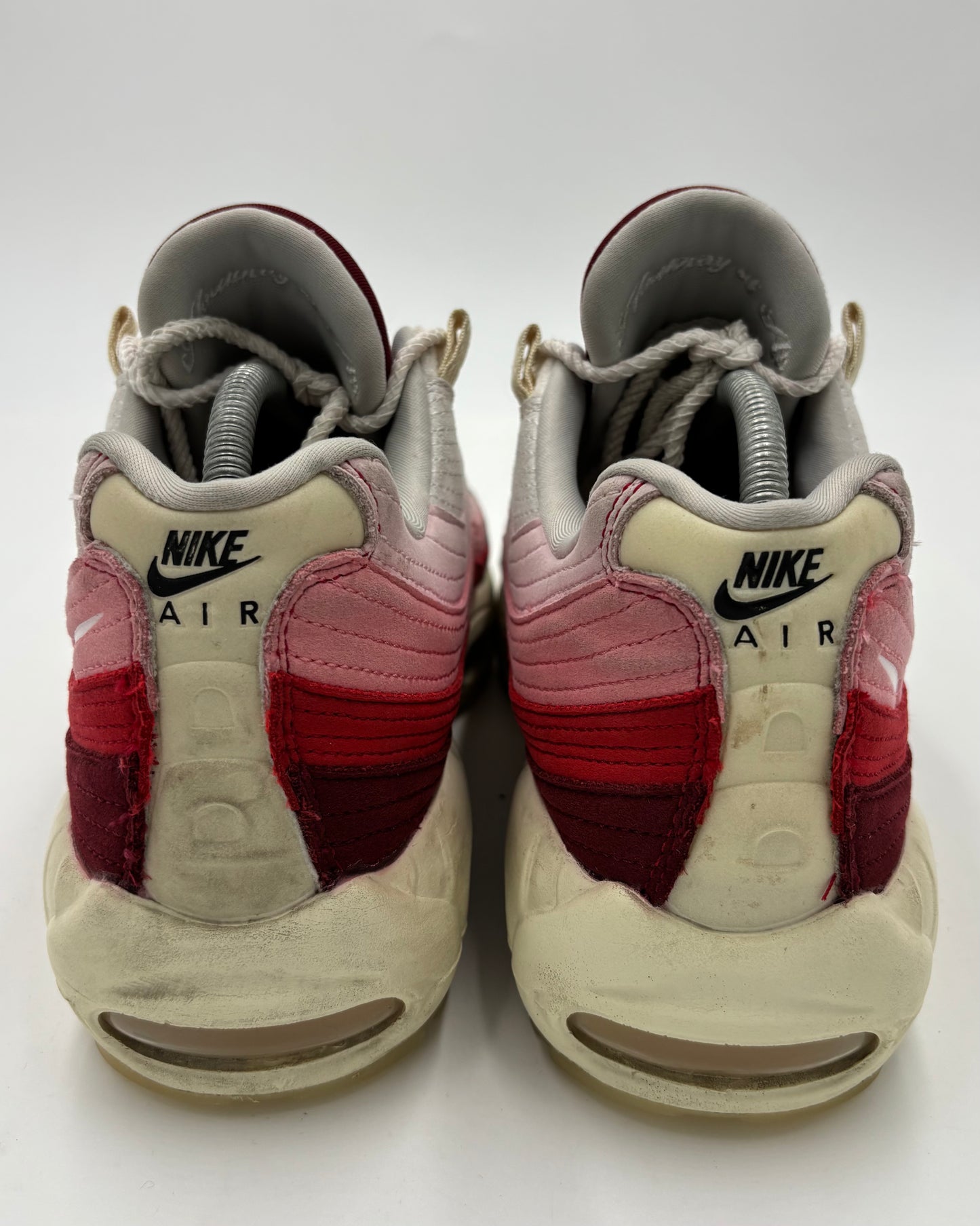 Nike Air Max 95 Anatomy of Air (43 EU / 8.5 UK)