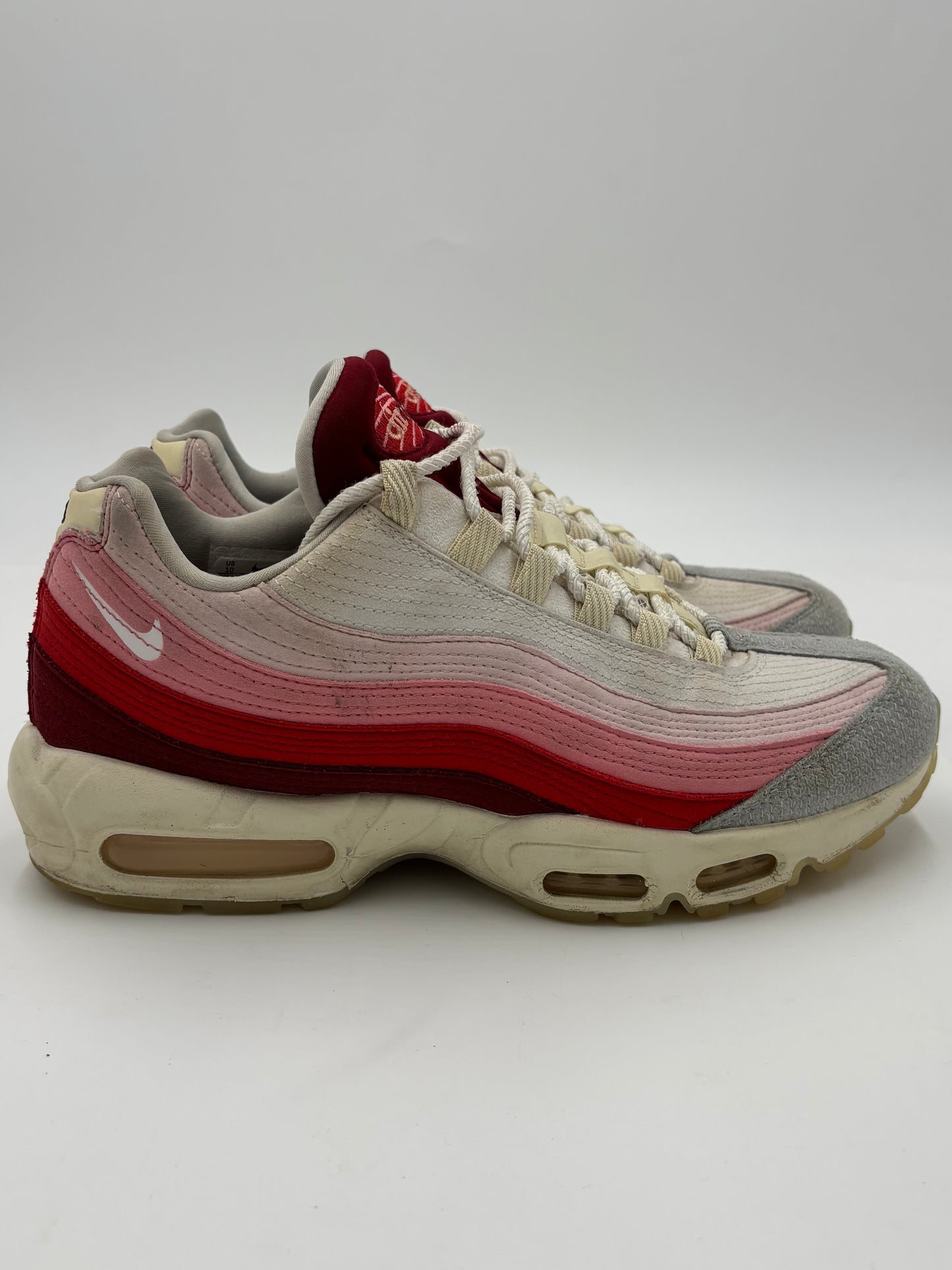 Nike Air Max 95 Anatomy of Air (44 EU / 9 UK)