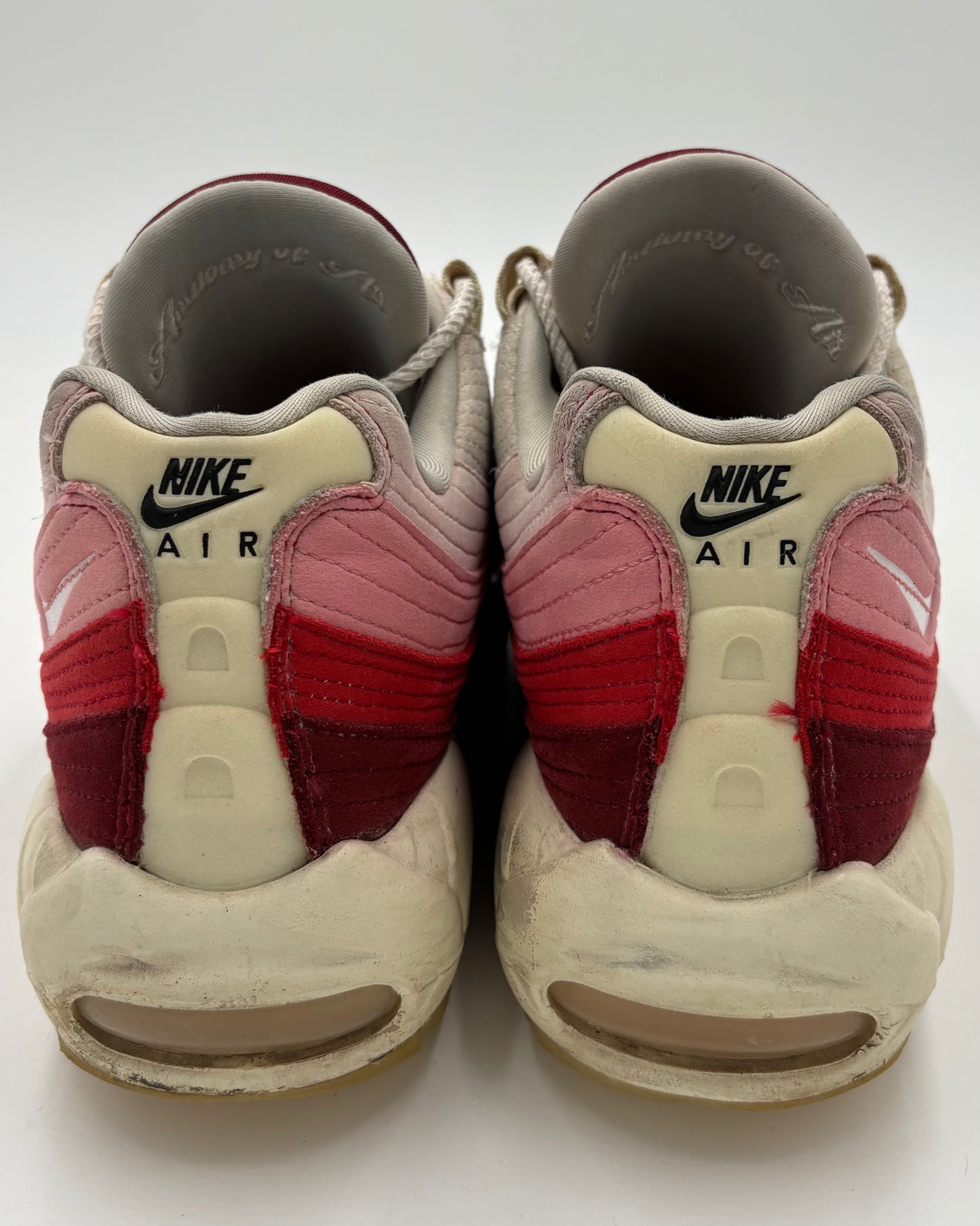 Nike Air Max 95 Anatomy of Air (44 EU / 9 UK)