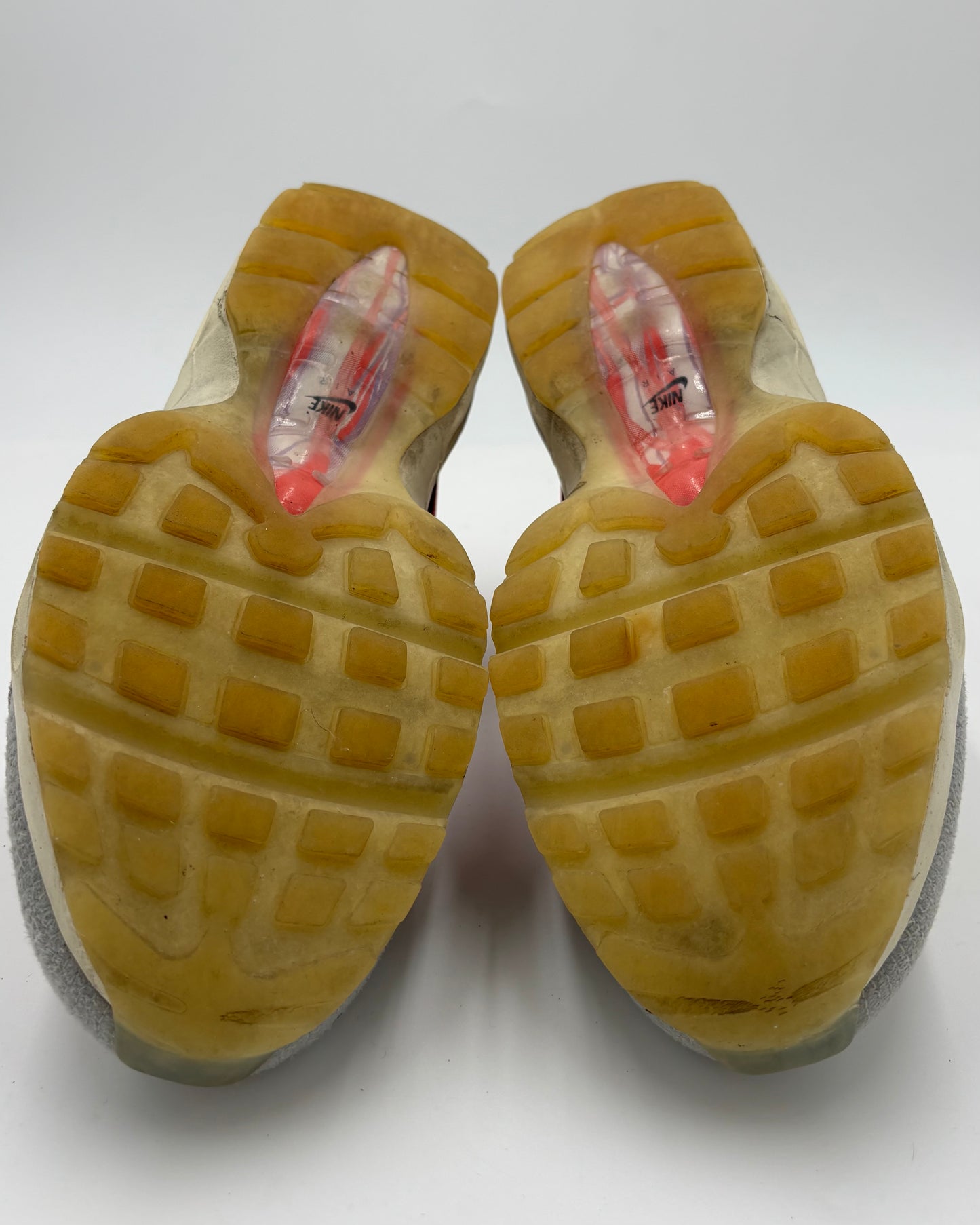 Nike Air Max 95 Anatomy of Air (44 EU / 9 UK)