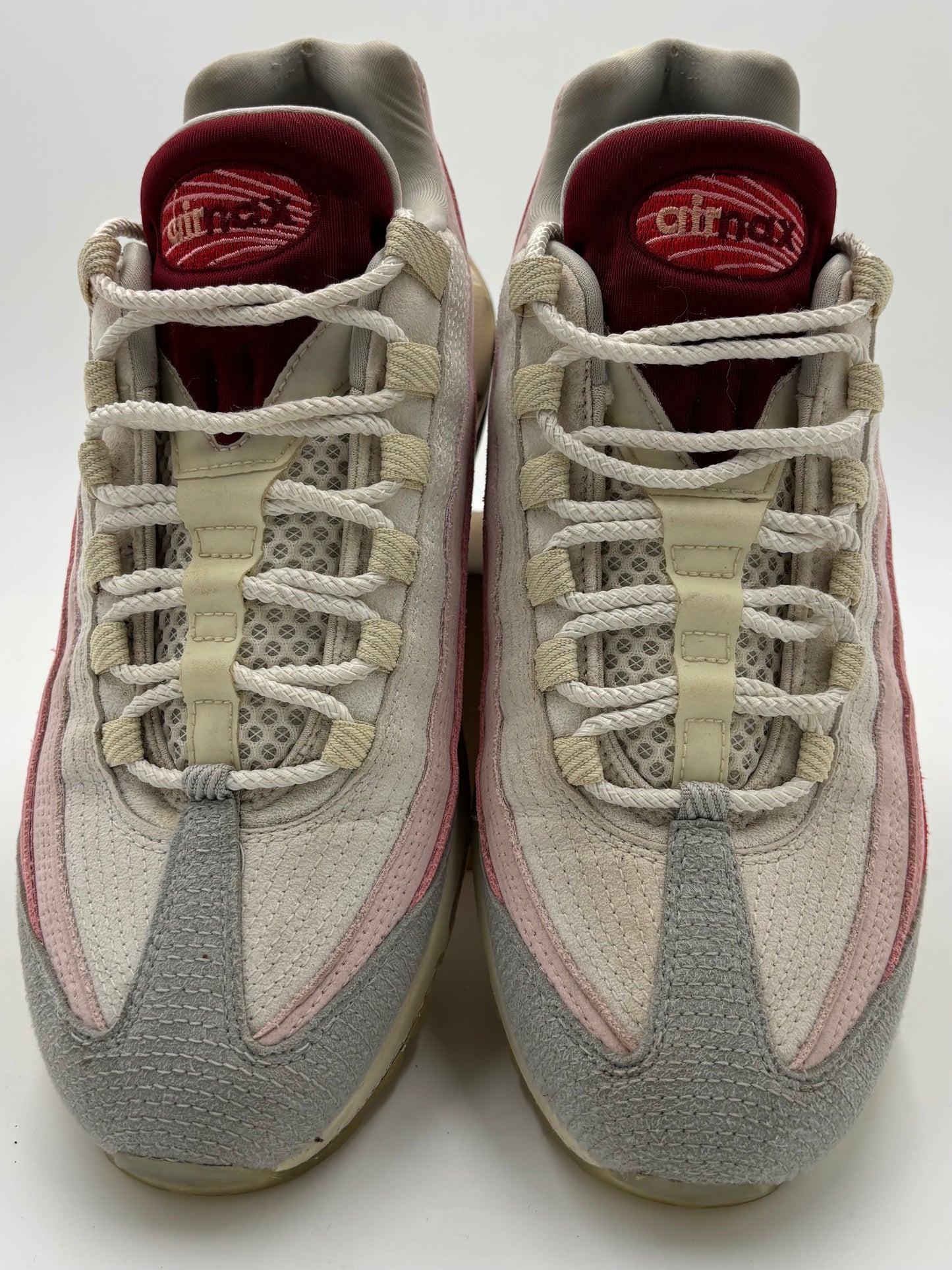 Nike Air Max 95 Anatomy of Air (44 EU / 9 UK)
