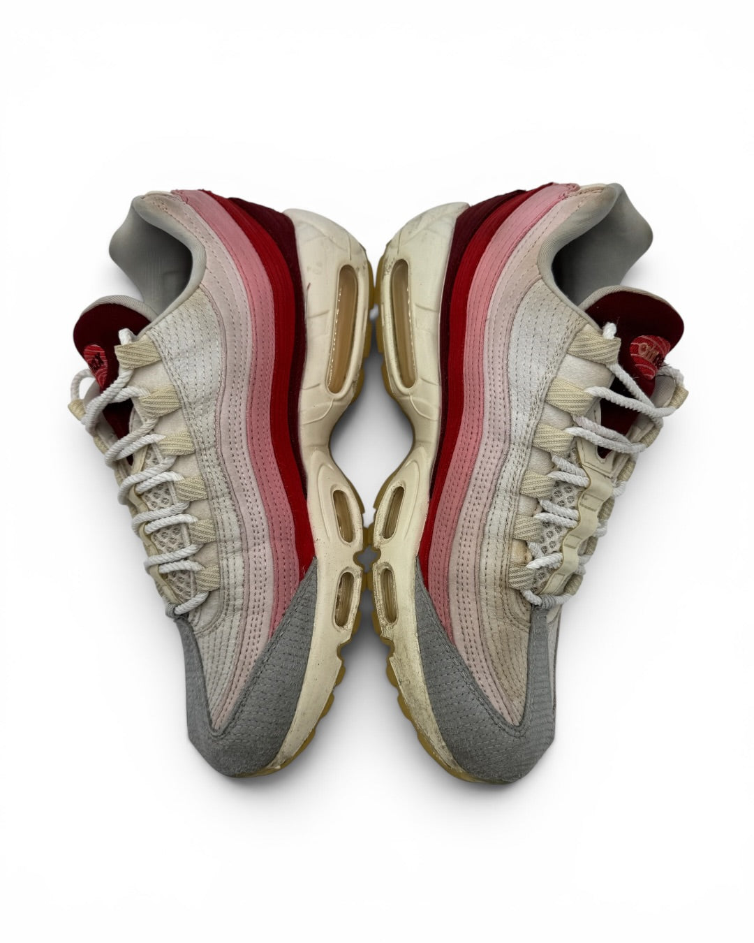 Nike Air Max 95 Anatomy of Air