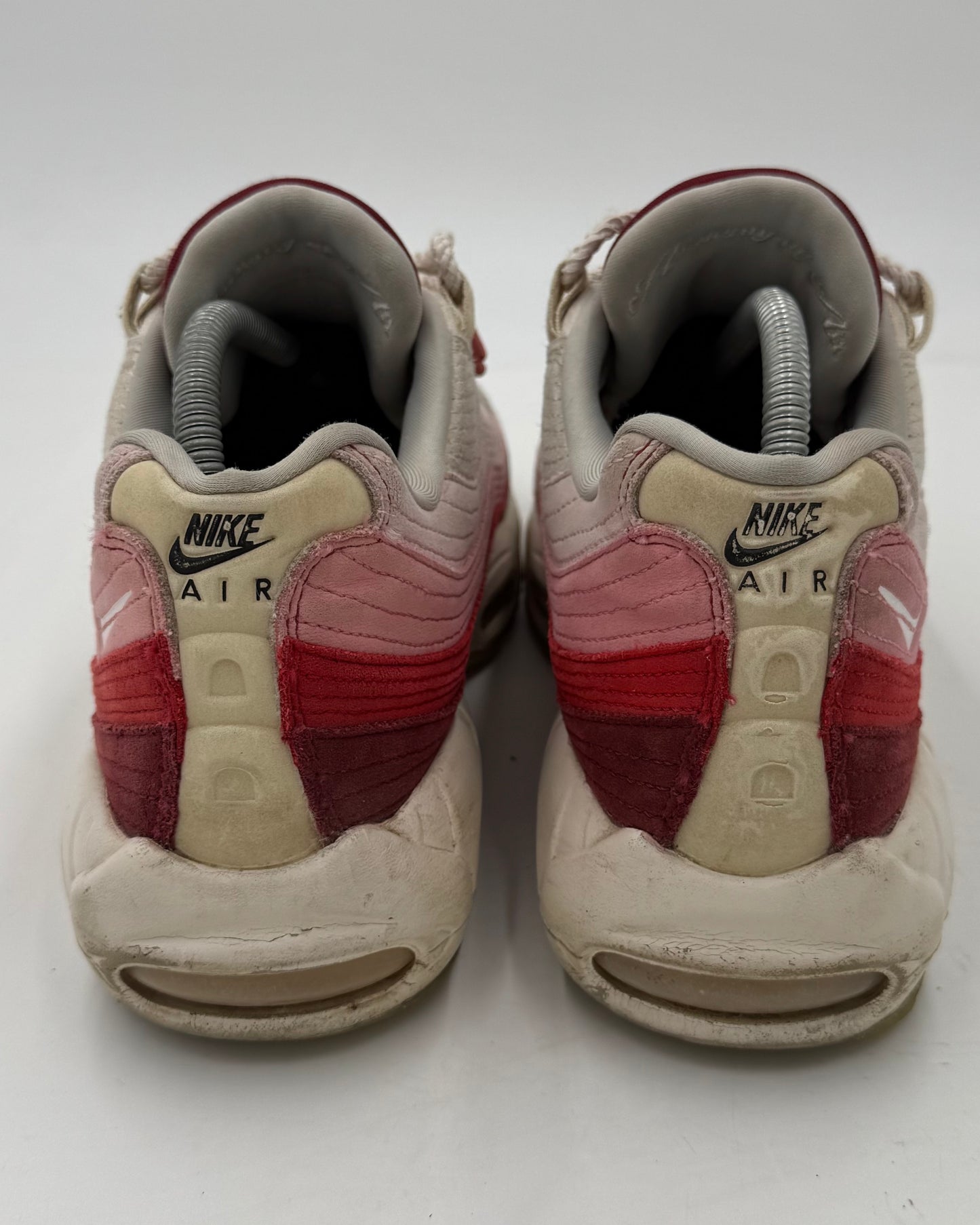 Nike Air Max 95 Anatomy of Air (42 EU / 7.5 UK)