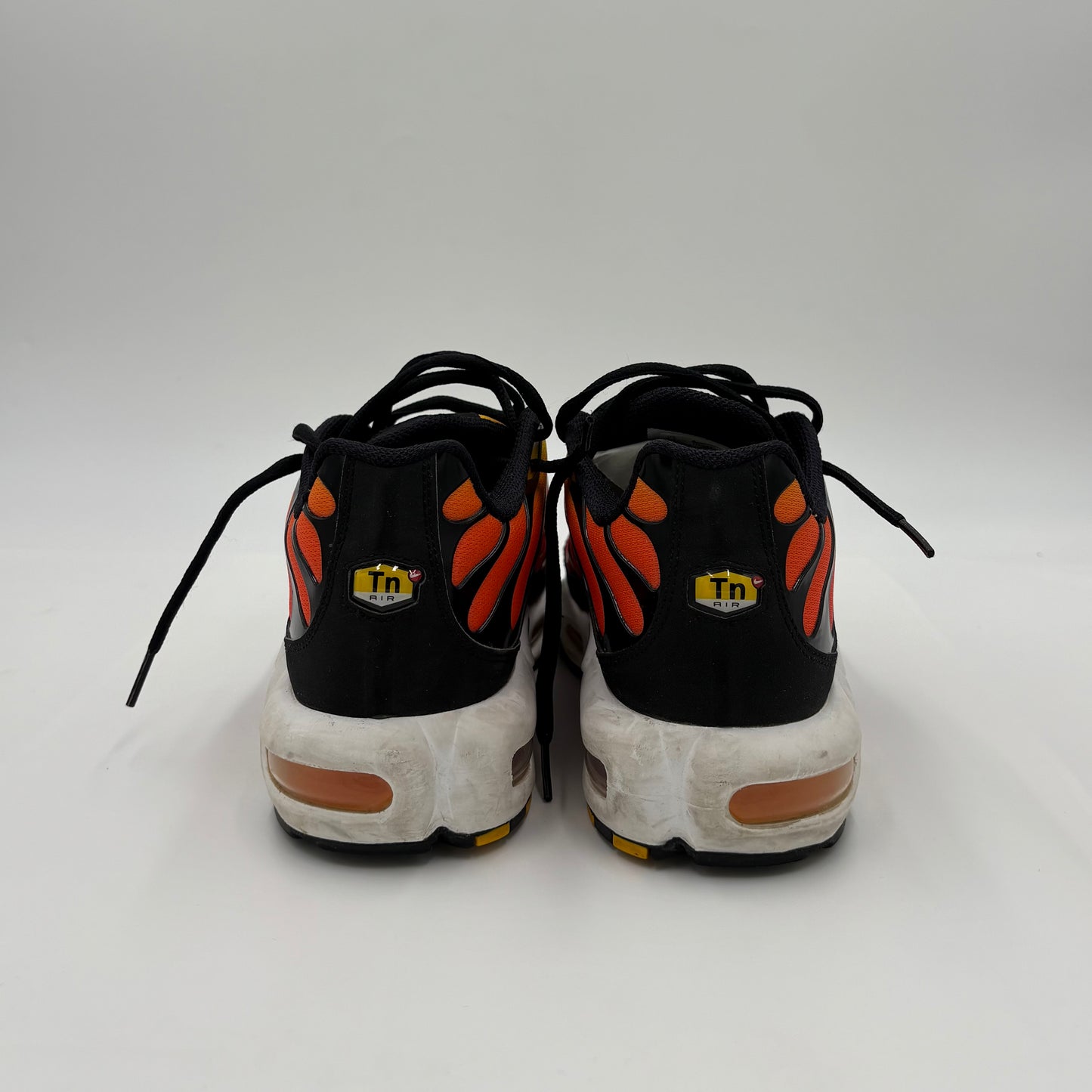 Air Max Plus TN Tiger 2024 (43)