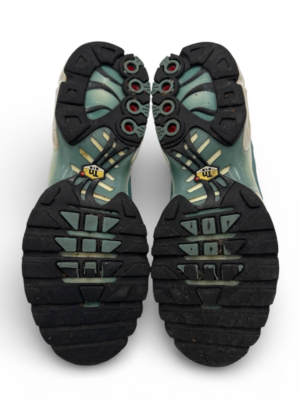 Nike Air Max Plus TN Palm Green (43 EU / 8.5 UK)