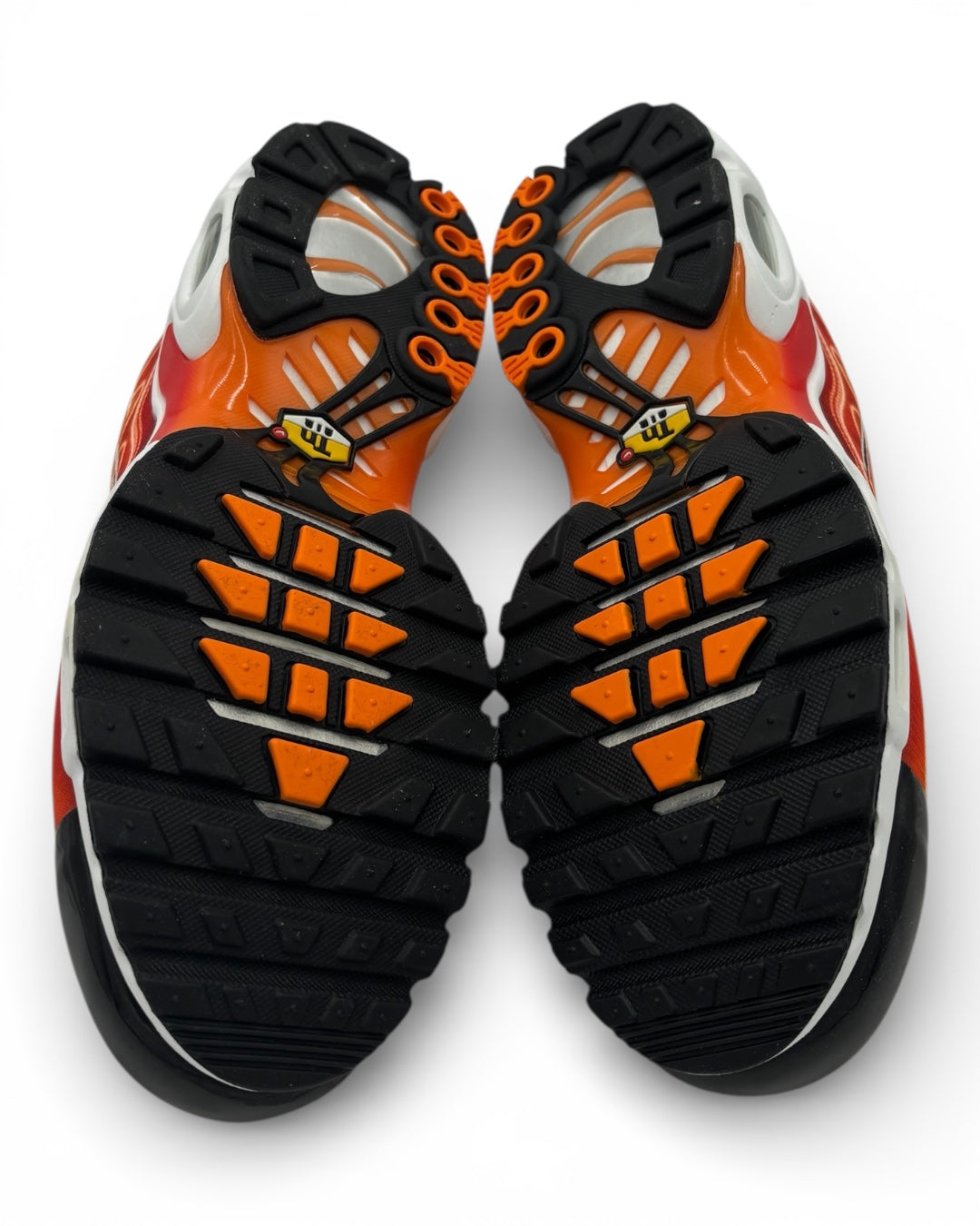 Nike Air Max Plus TN Light Photography (44.5 EU / 9.5 UK)
