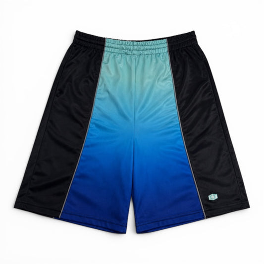 OneBlockDown Nylon Gradient Blue Shorts (Small)