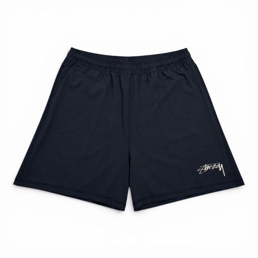 Nike Stussy Black Beach Wear Shorts (Medium)