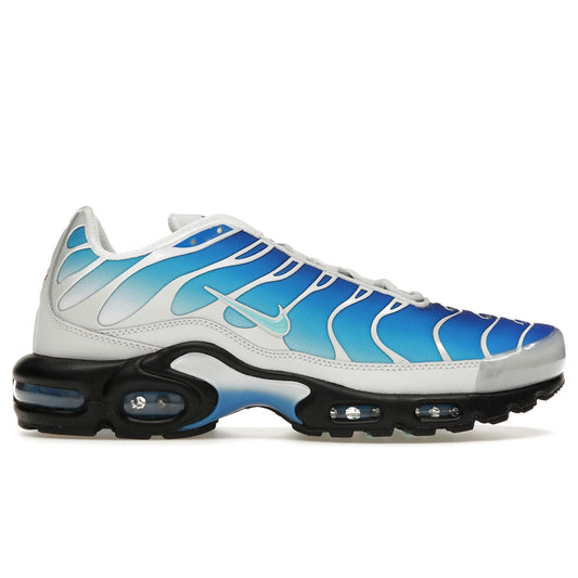Nike Air Max Plus TN One Block Down Blue (45.5 EU / 10.5 UK)