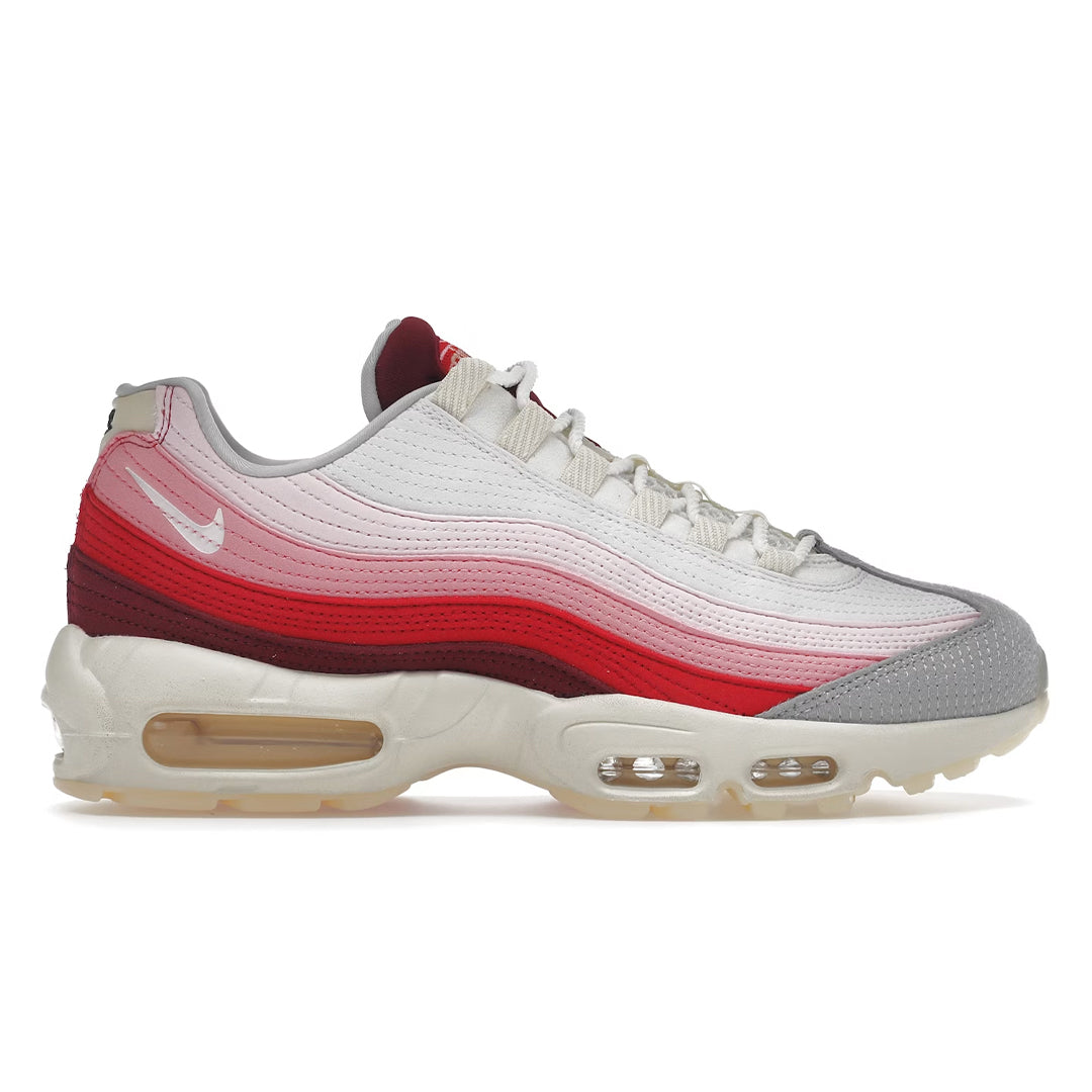 Nike Air Max 95 Anatomy of Air