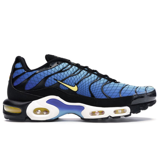 Nike Air Max Plus TN Greedy (44)